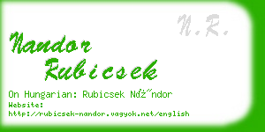 nandor rubicsek business card